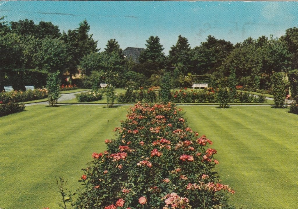 DRIEBERGEN Rosarium, Verzenden, 1960 tot 1980, Gelopen, Utrecht