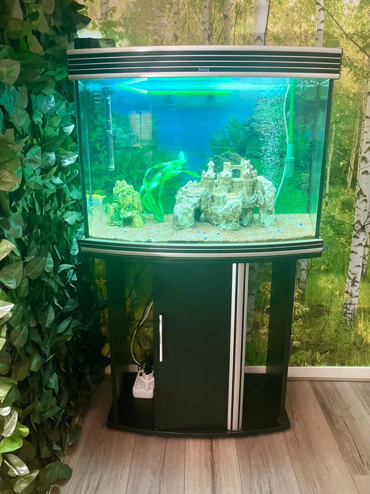 Mooi compleet aquarium, Ophalen, Inclusief vissen, Gebruikt, Gevuld zoetwateraquarium