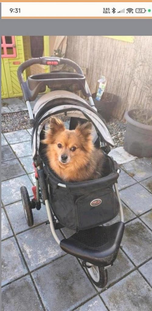 Innopet hondenbuggy comfort EFA, Ophalen of Verzenden