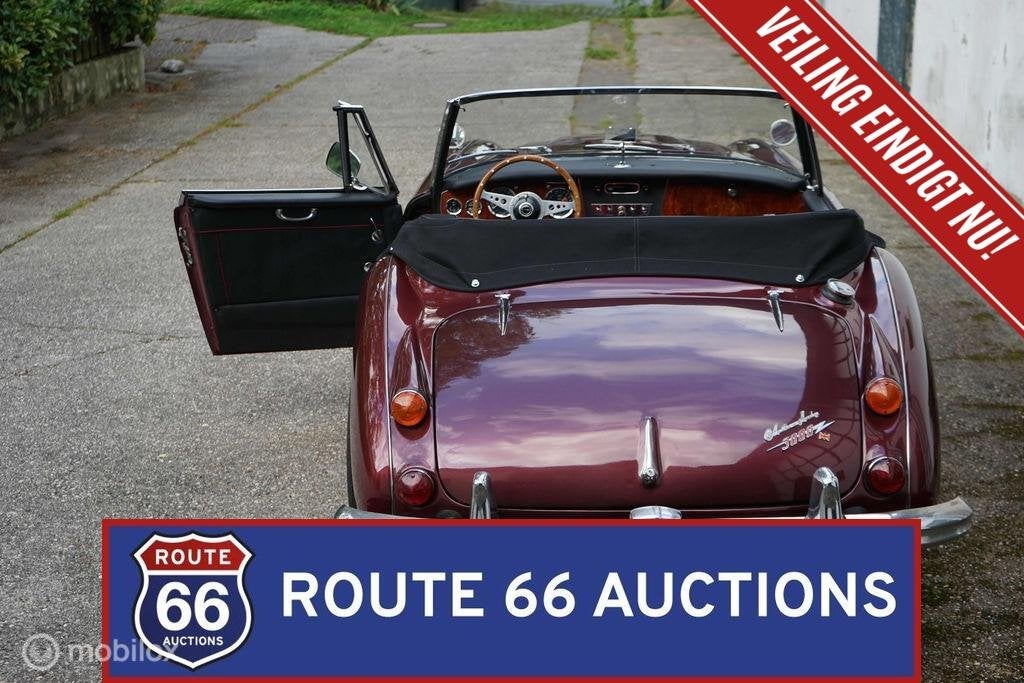 Austin-Healey 3000 MK3 | 1967 | Route 66 Auctions, Auto's, Oldtimers, Austin, Overige carrosserieën, Zwart, Bedrijf