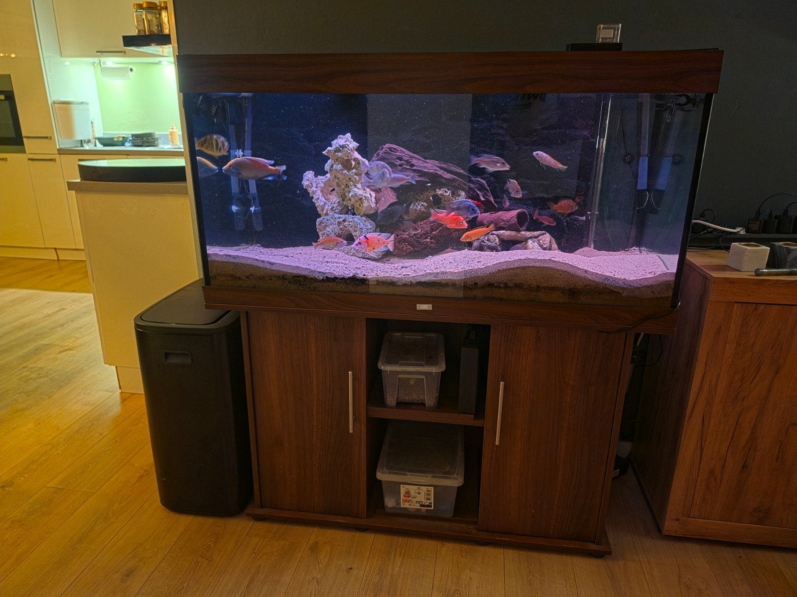 Te koop: complete Juwel Rio 350, Vis, Zoetwatervis
