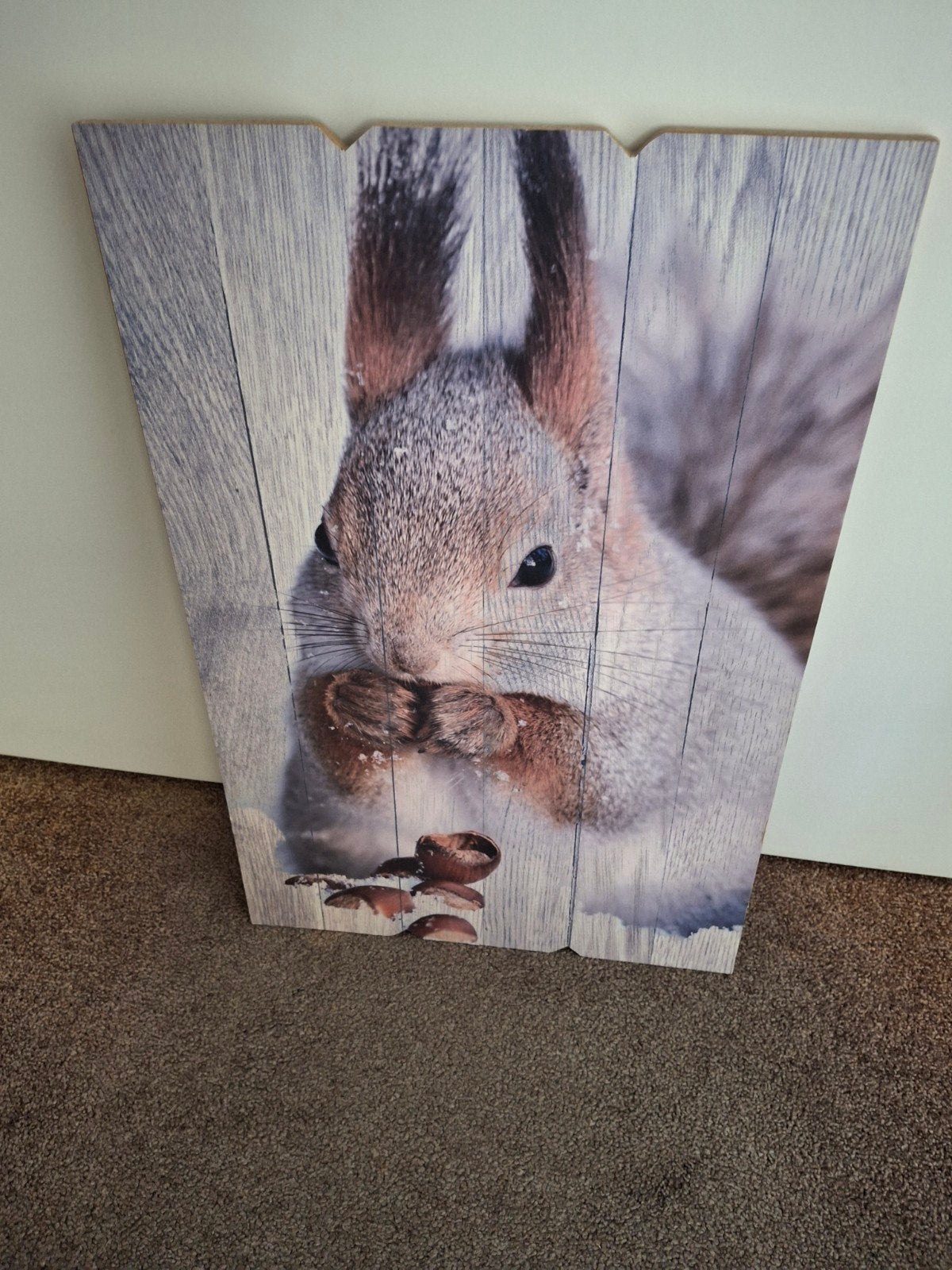 schilderij eekhoorn op hout, Ophalen, Minder dan 50 cm, Schilderij
