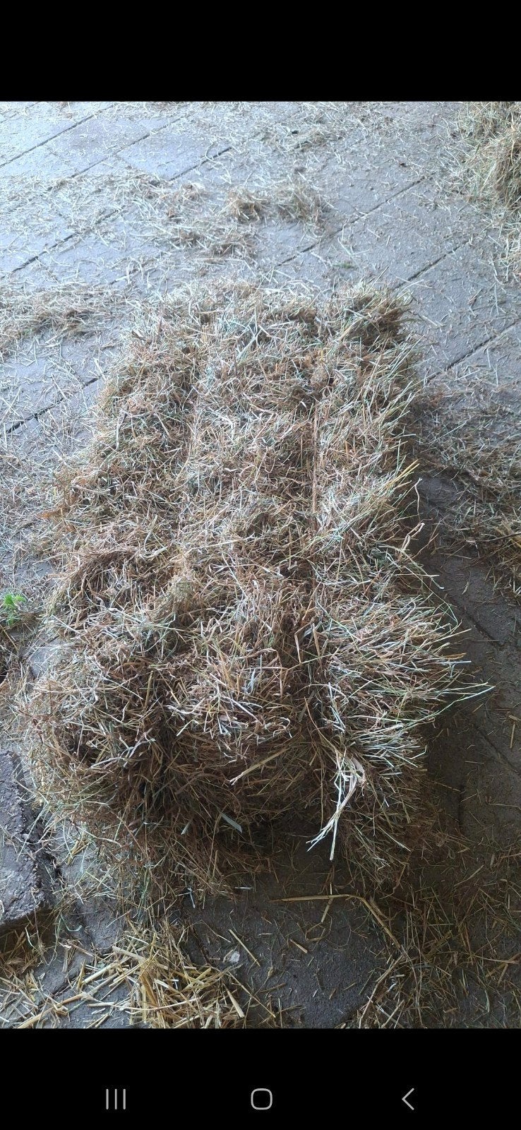 145 kleine Hooi balen baaltjes pakjes, Ophalen of Verzenden
