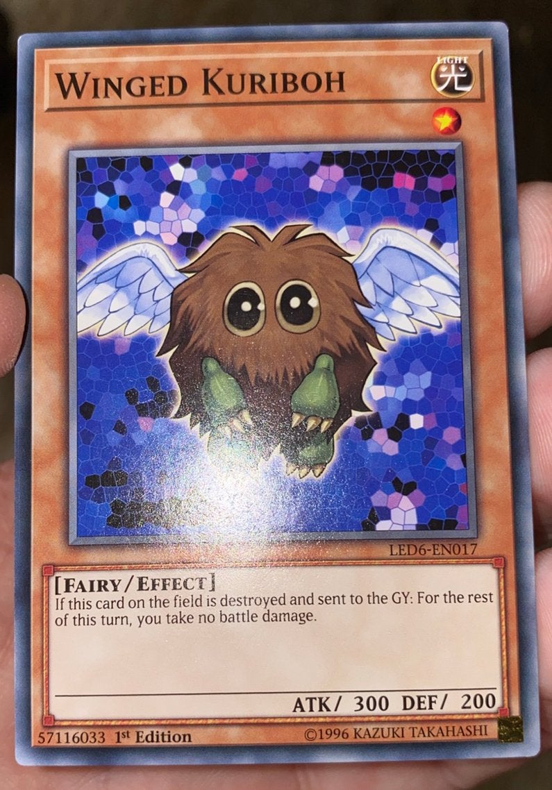 Yu-Gi-Oh! Winged Kuriboh LED6 1st Edition !, Hobby en Vrije tijd, Verzamelkaartspellen | Yu-gi-Oh!, Ophalen of Verzenden, Zo goed als nieuw