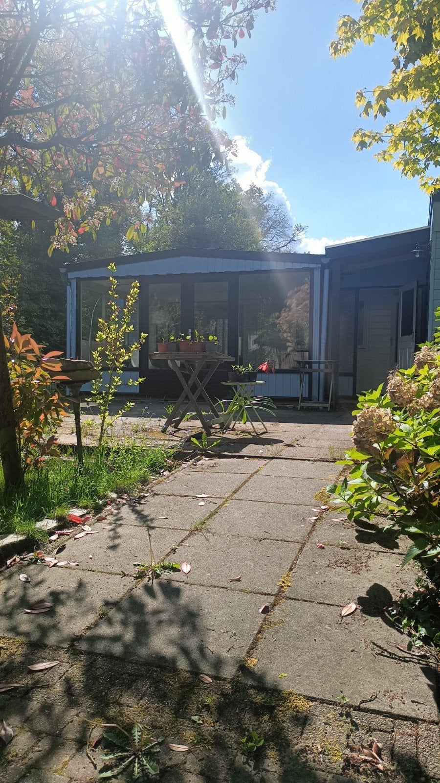chalet, In bos, 2 slaapkamers, Huisdier toegestaan, Chalet, Bungalow of Caravan