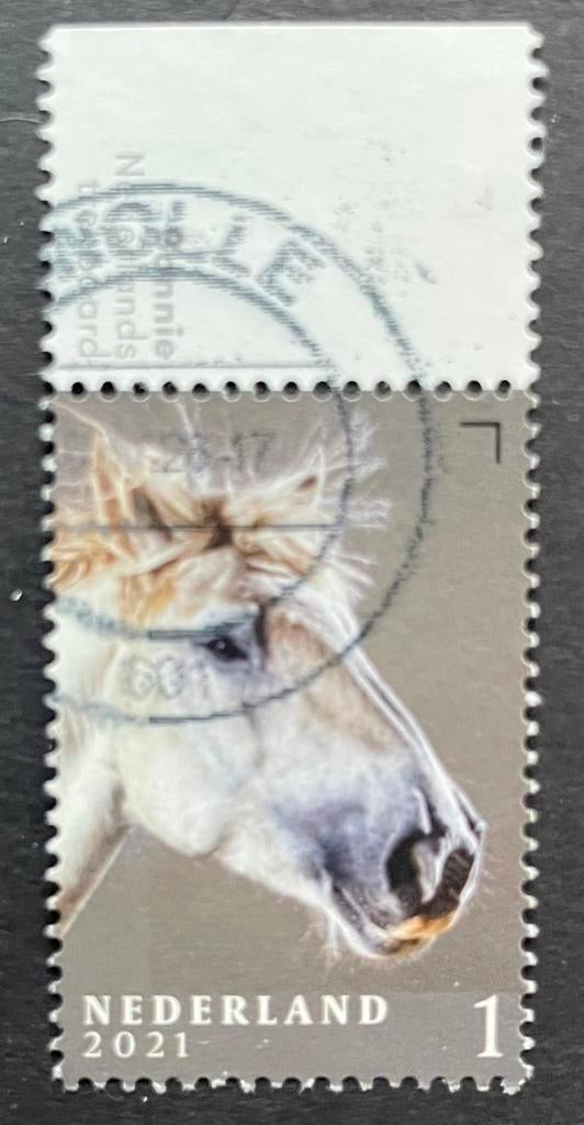 2021 Nederlandse paardenrassen nvph 3968/tab Ned. trekpaard, Ophalen of Verzenden, Na 1940, Gestempeld
