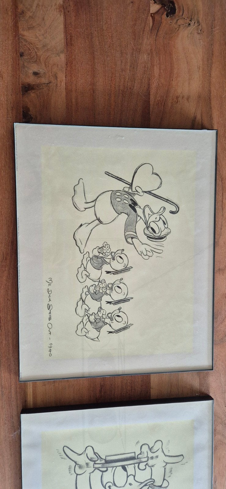 Vintage Donald Duck tekeningen, Antiek en Kunst, Ophalen of Verzenden, Tekening, Potloodtekening, Achter glas