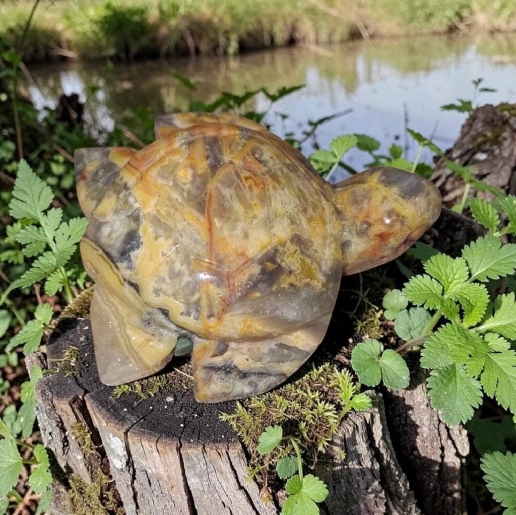 Crazy Lace Agaat schildpad, Ophalen of Verzenden, Mineraal