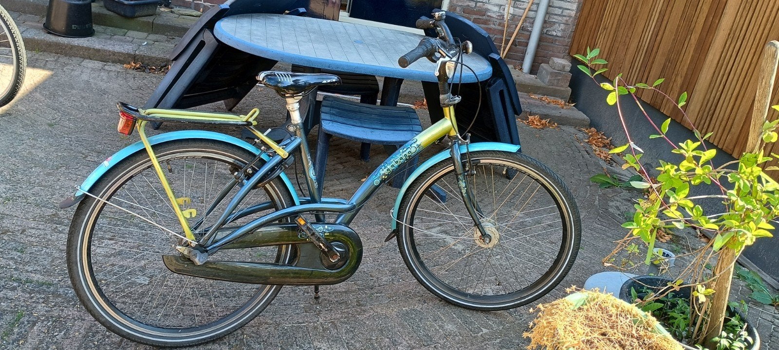In Zeist (bij Utrecht): 2 gratis kinderfietsen 26 en 24 inch, Ophalen, Gebruikt, Batavus, Terugtraprem