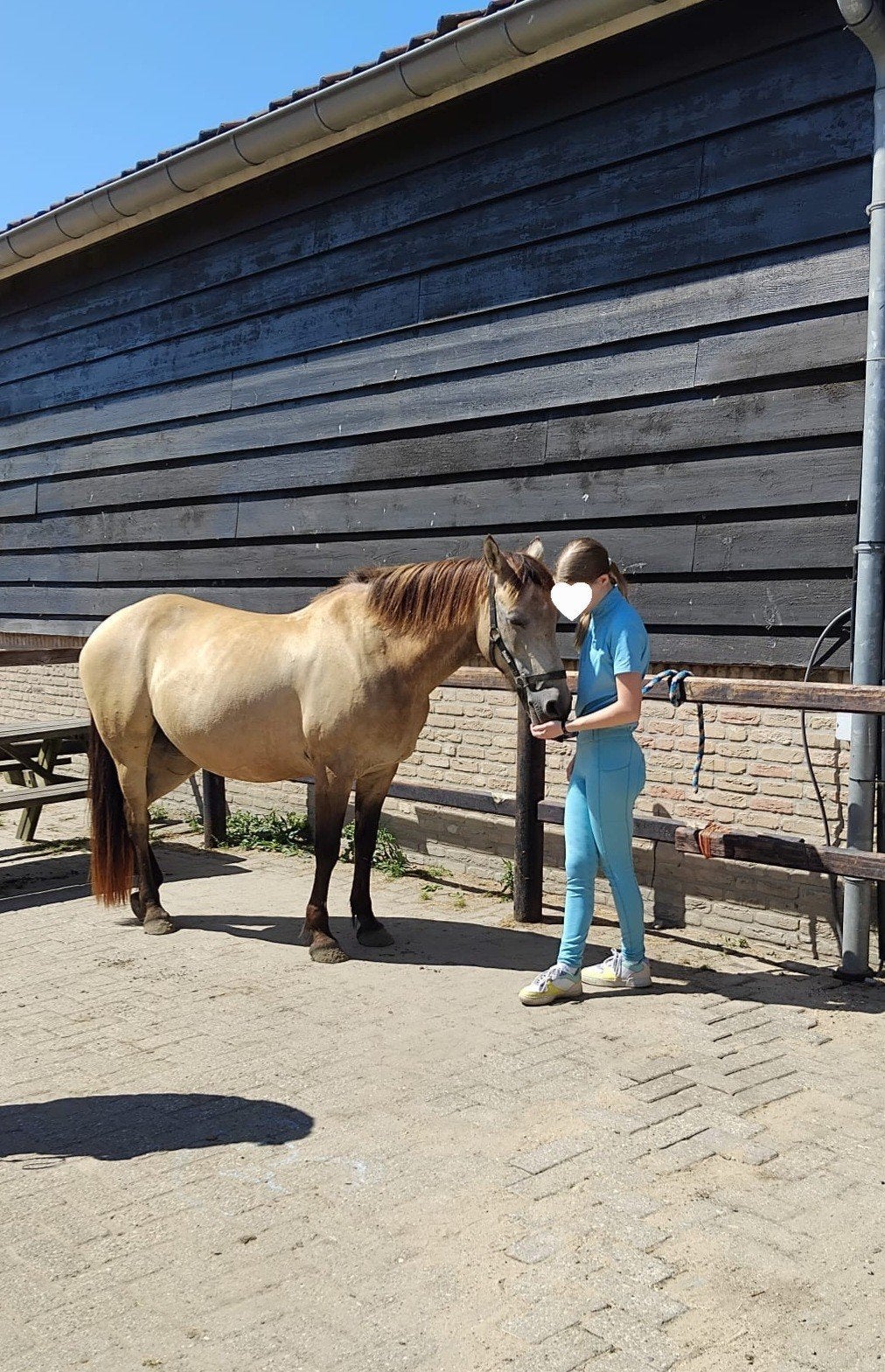 Lease/verzorgpony gezocht verzorger/ bijrijder aangeboden, Ophalen of Verzenden, Nieuw