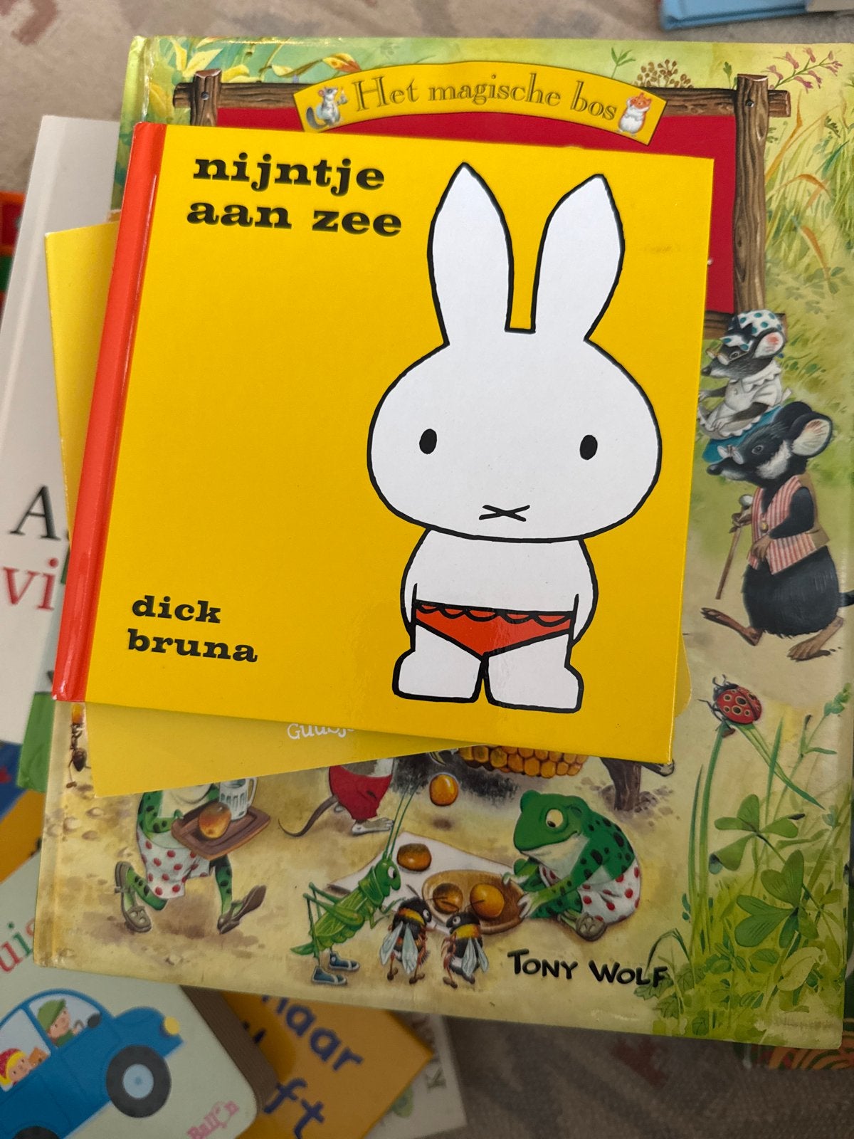 Nijntje aan Zee - Dick Bruna (Kinderboek), Ophalen of Verzenden, Gelezen, 2 tot 3 jaar