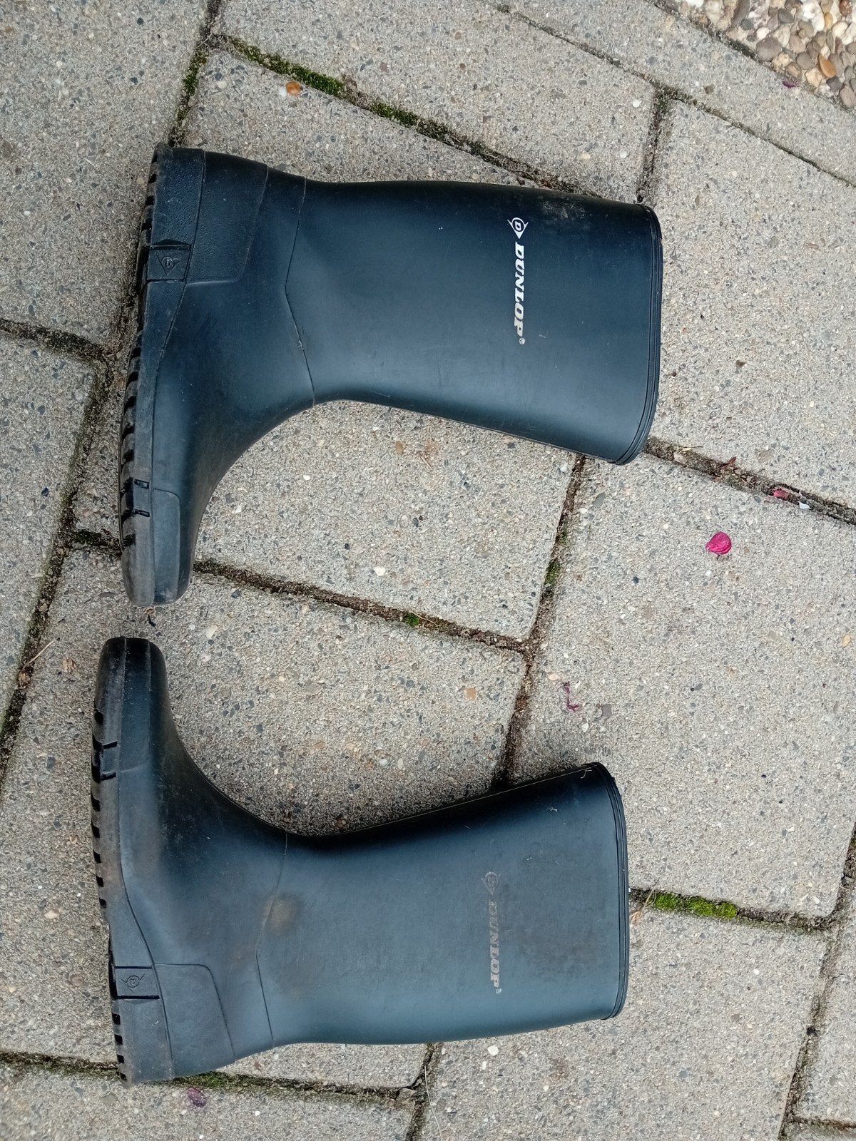 Dunlop regenlaarzen Maat 37, Kleding | Heren, Zwart, Ophalen of Verzenden, Regenlaarzen, Dunlop