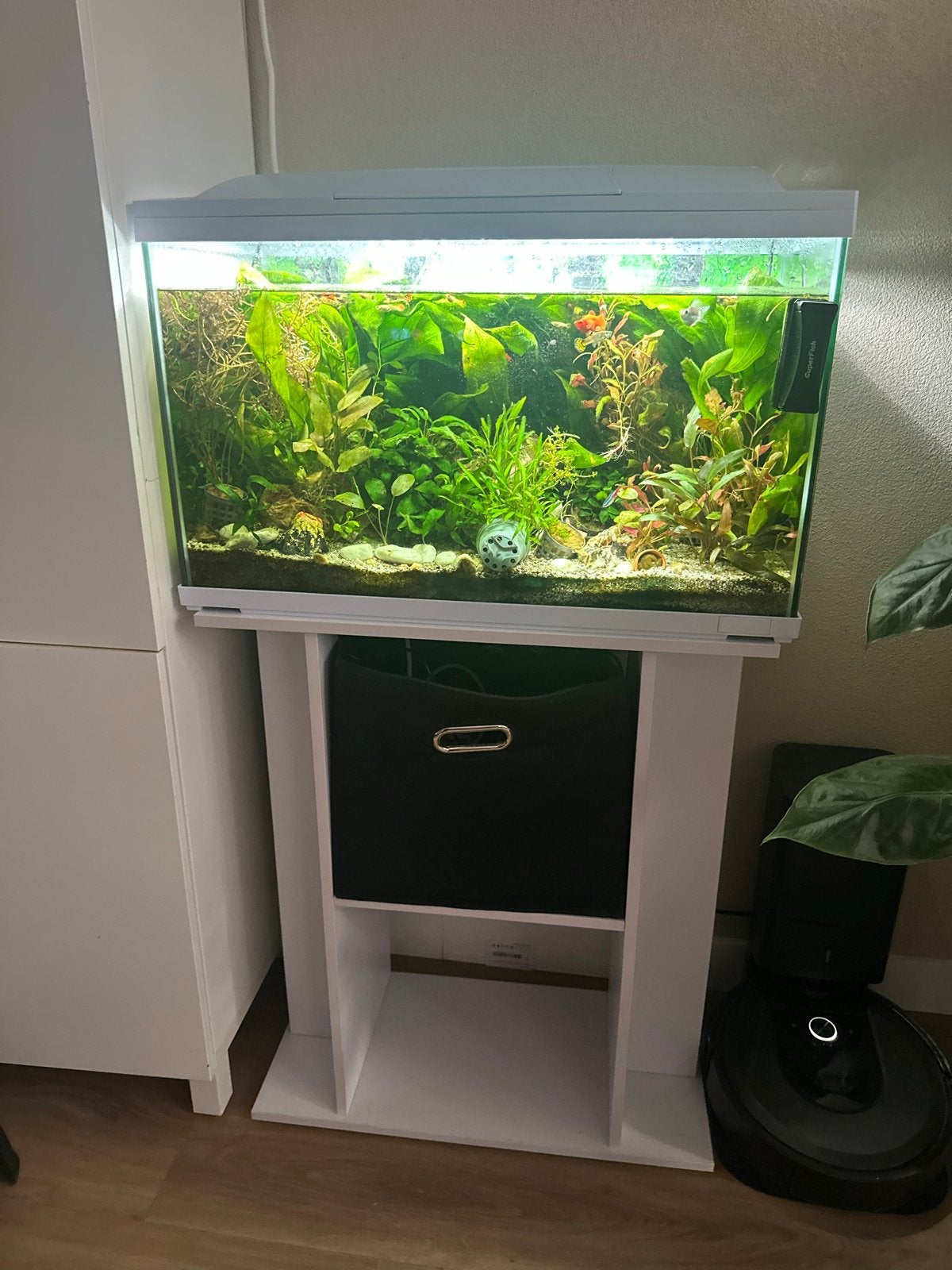 Superfish aquarium met kast compleet met vissen, Ophalen, Zo goed als nieuw, Gevuld zoetwateraquarium