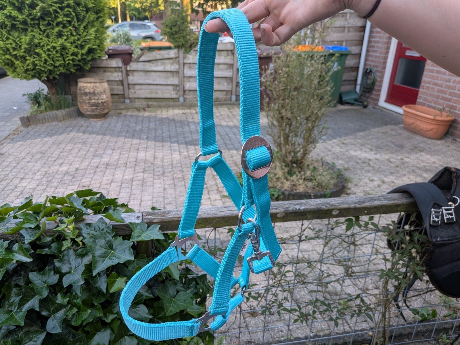 Halster voor pony en paard(cob), Dieren en Toebehoren, Paarden en Pony's | Hoofdstellen en Tuigage, Ophalen, Zo goed als nieuw
