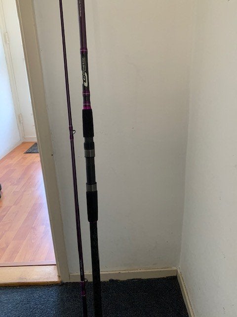 hengel en molen te koop voor roofvis, Watersport en Boten, Hengelsport | Zeevissen, Ophalen of Verzenden, Zo goed als nieuw, Complete set