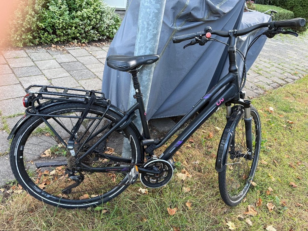 Giant hybride fiets ( niet electrisch), Ophalen, Gebruikt, Giant, Dames