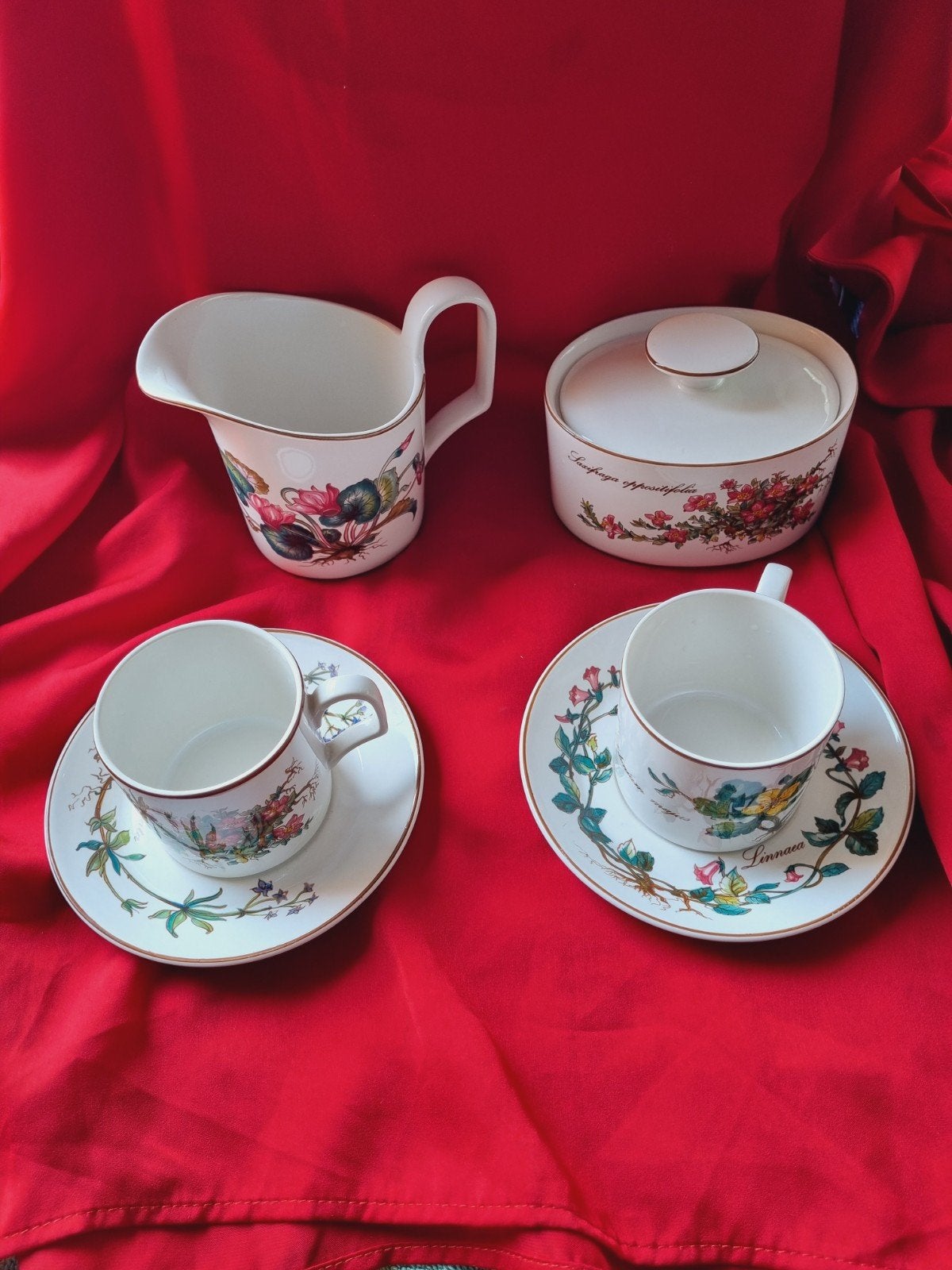 Villeroy & Boch Botanica Servies: Melkkan, Suikerpot, 2 Kop, Gebruikt, Klassiek, Villeroy & Boch, Ophalen of Verzenden