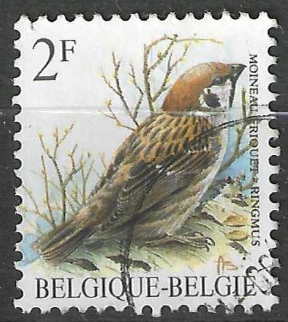 Belgie 1989 - Yvert 2348 /OBP 2347 - Buzin - Ringmus (ST), Verzenden, Gestempeld, Voertuigen