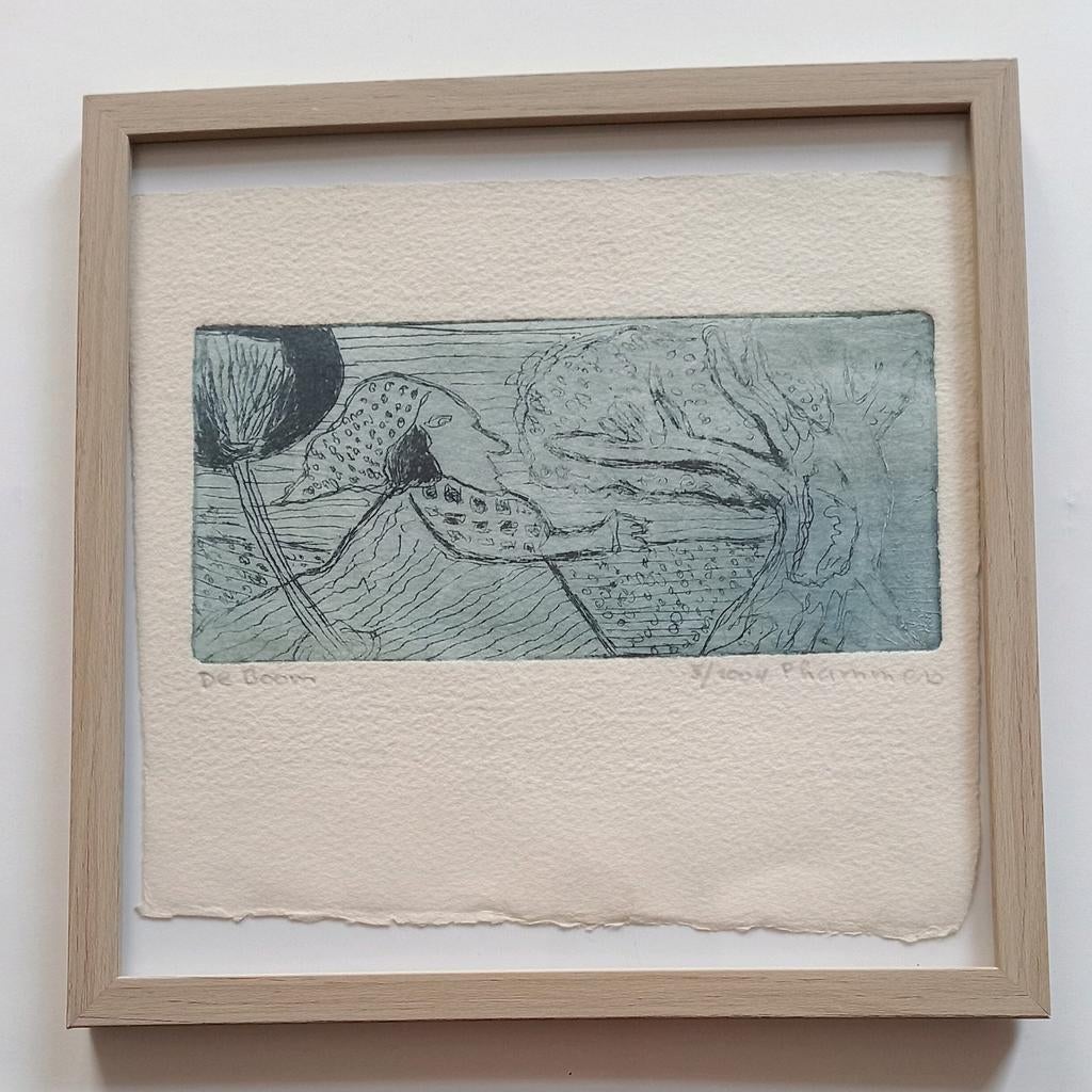 Ets De Boom P.Lammers, Antiek en Kunst, Kunst | Litho's en Zeefdrukken, Ophalen of Verzenden