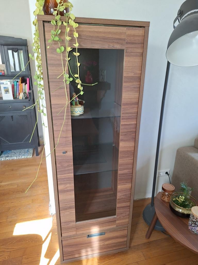 Houten bruine vitrine kast, Ophalen, Melamine walnoot, 50 tot 100 cm, Glas