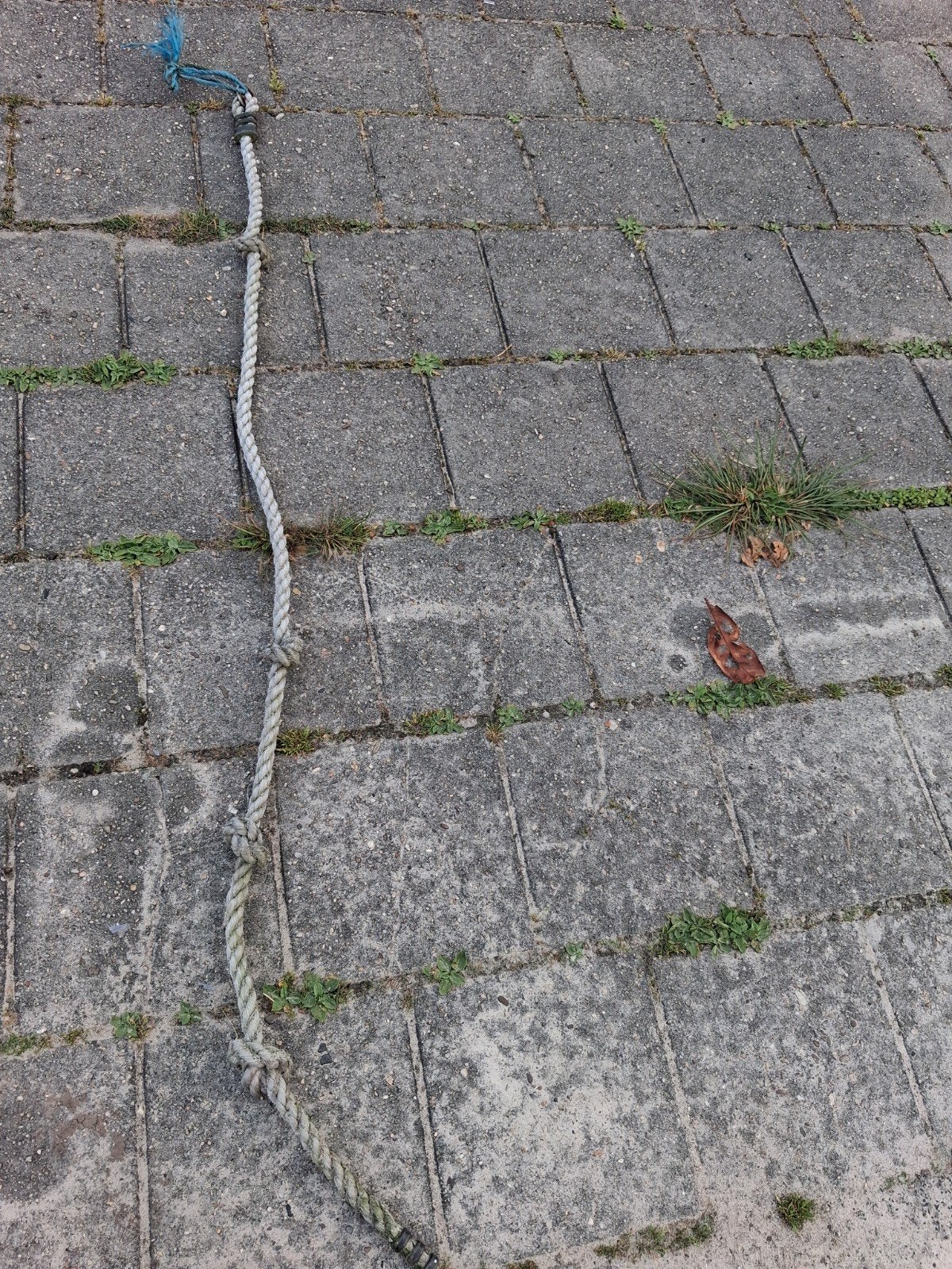 Gratis gebruikte klimtouw, Ophalen