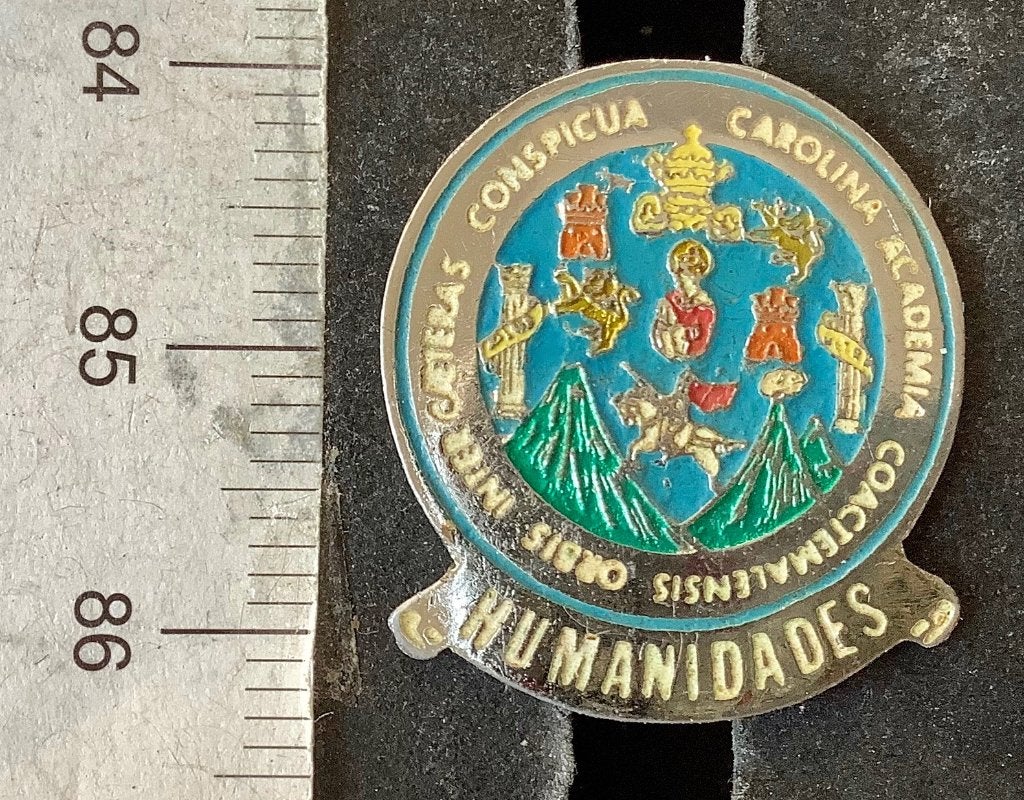 pin, Humanidades (G1, Ophalen of Verzenden, Gebruikt, Overige onderwerpen, Speldje of Pin