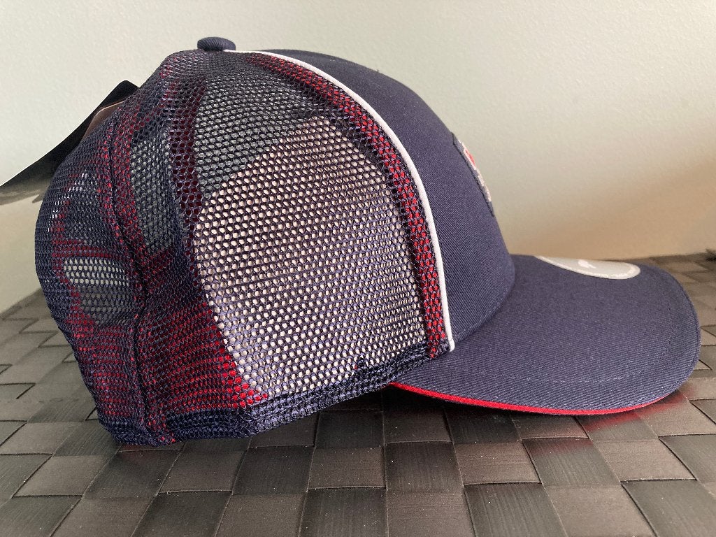 ✅ Red Bull Racing F1 cap Curved pet Nieuw RB20 Formule 1, Ophalen of Verzenden, Nieuw, Formule 1