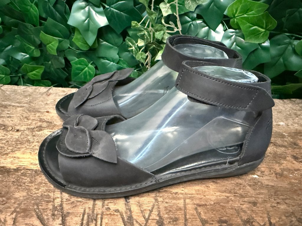 bijna Nieuwe mooie leren sandalen loints of holland maat 40, Kleding | Dames, Schoenen, Zwart, Loints of holland, Nieuw, Loints of holland
