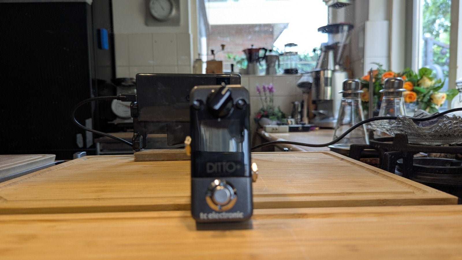 TC Electronic Ditto+ Looper Pedaal, Muziek en Instrumenten, Effecten, Ophalen of Verzenden, Zo goed als nieuw, Overige typen