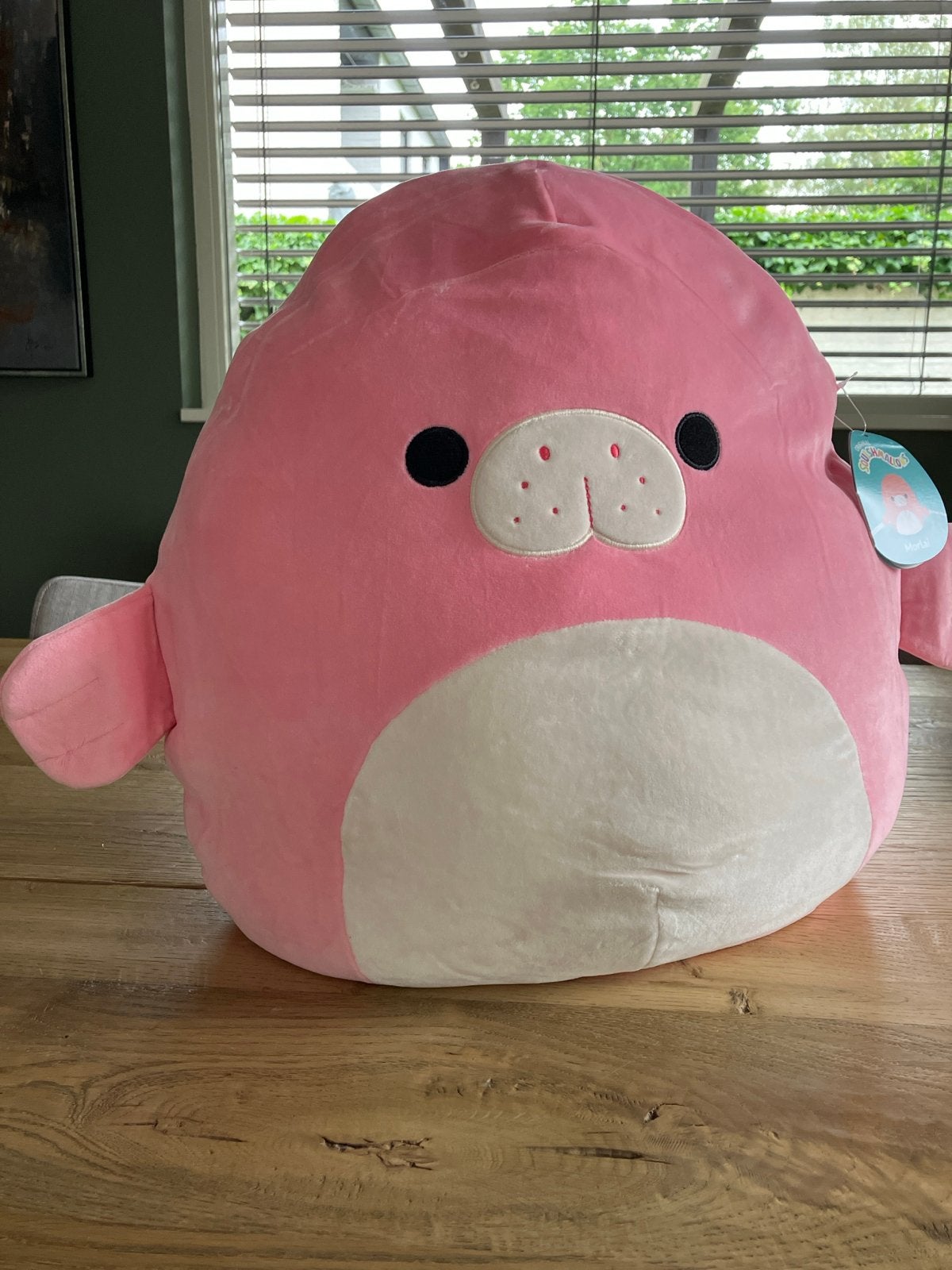 Squishmallow Morlai de Zeehond - Roze Knuffel, Overige typen, Ophalen of Verzenden, Middelgroot (20 tot 80 cm), Roze