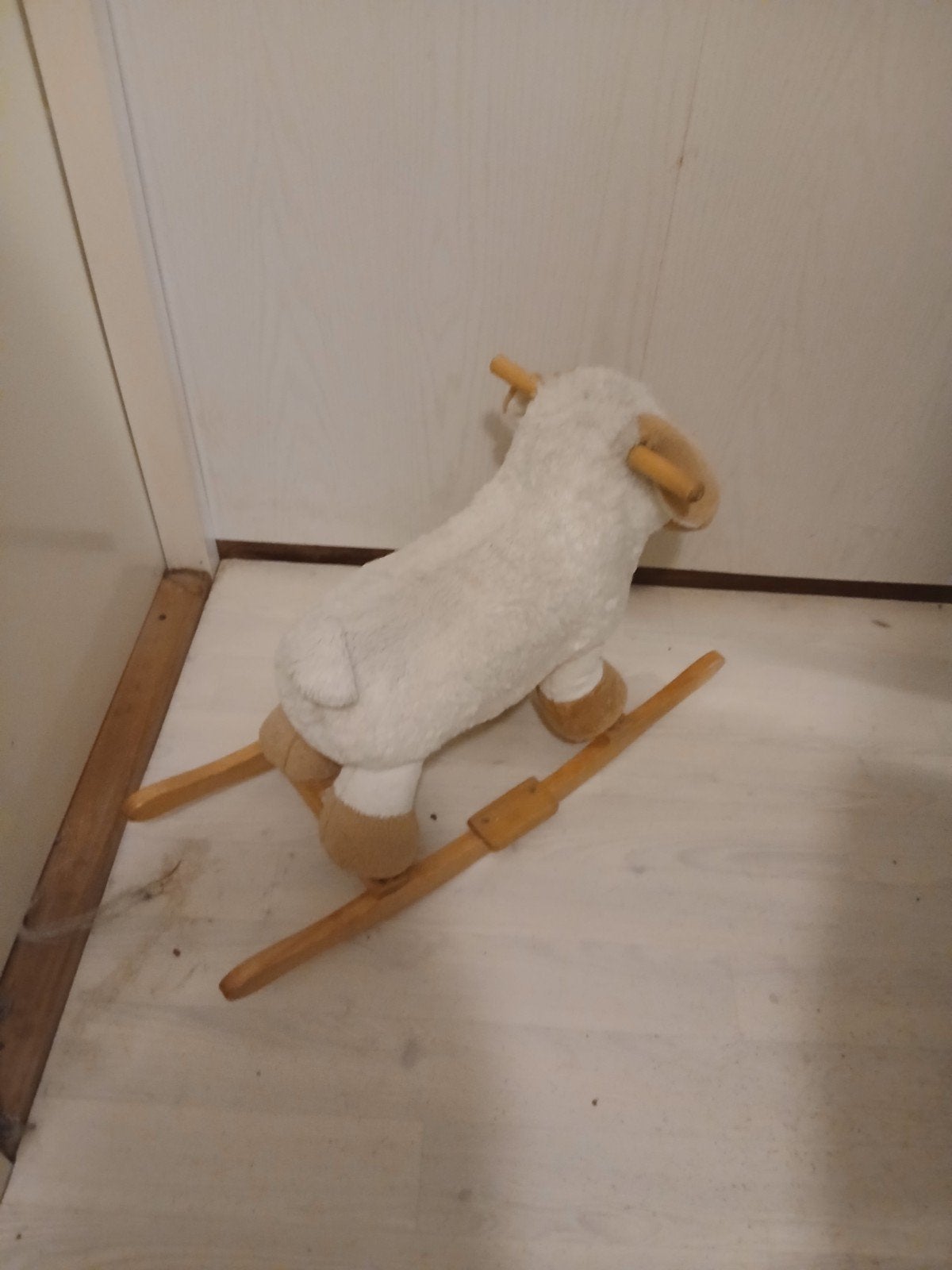 hobbel schaap, Vrouwelijk