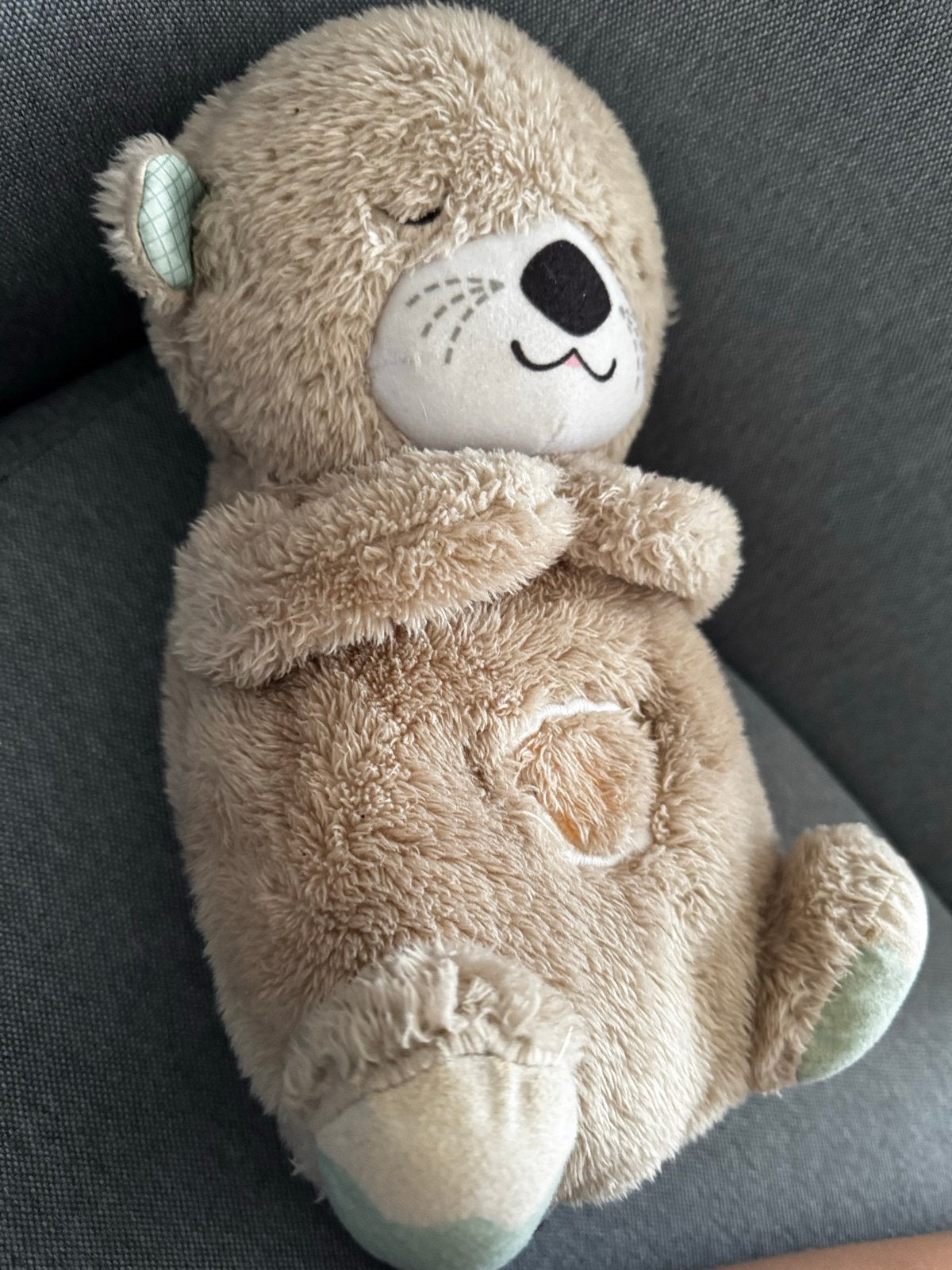 Fisher-Price Otter Knuffel met Ademhalingsbeweging, Ophalen, Overige merken, Met geluid, Overige karakters