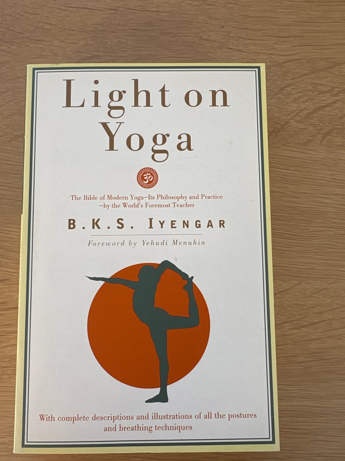 Light on Yoga - B.K.S. Iyengar - Zo goed als nieuw, Boeken, Ophalen of Verzenden, Zo goed als nieuw, Meditatie of Yoga, Instructieboek