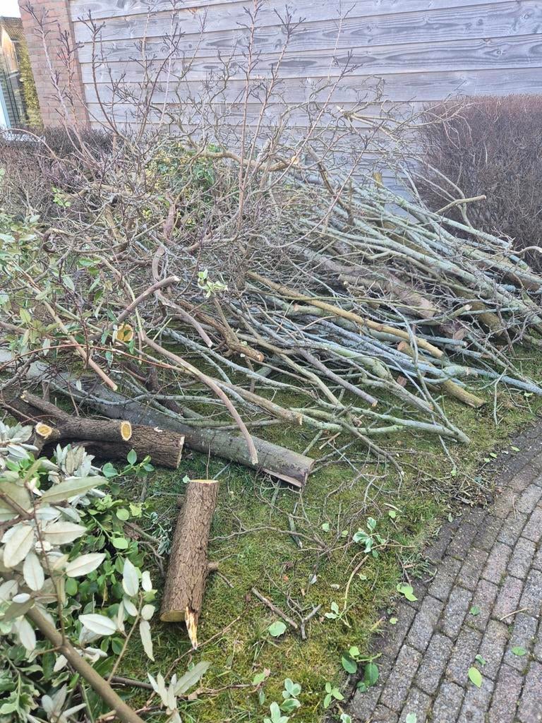 Snoeihout gratis af te halen, Tuin en Terras, Haardhout, Minder dan 3 m³, Ophalen, Overige houtsoorten, Takken