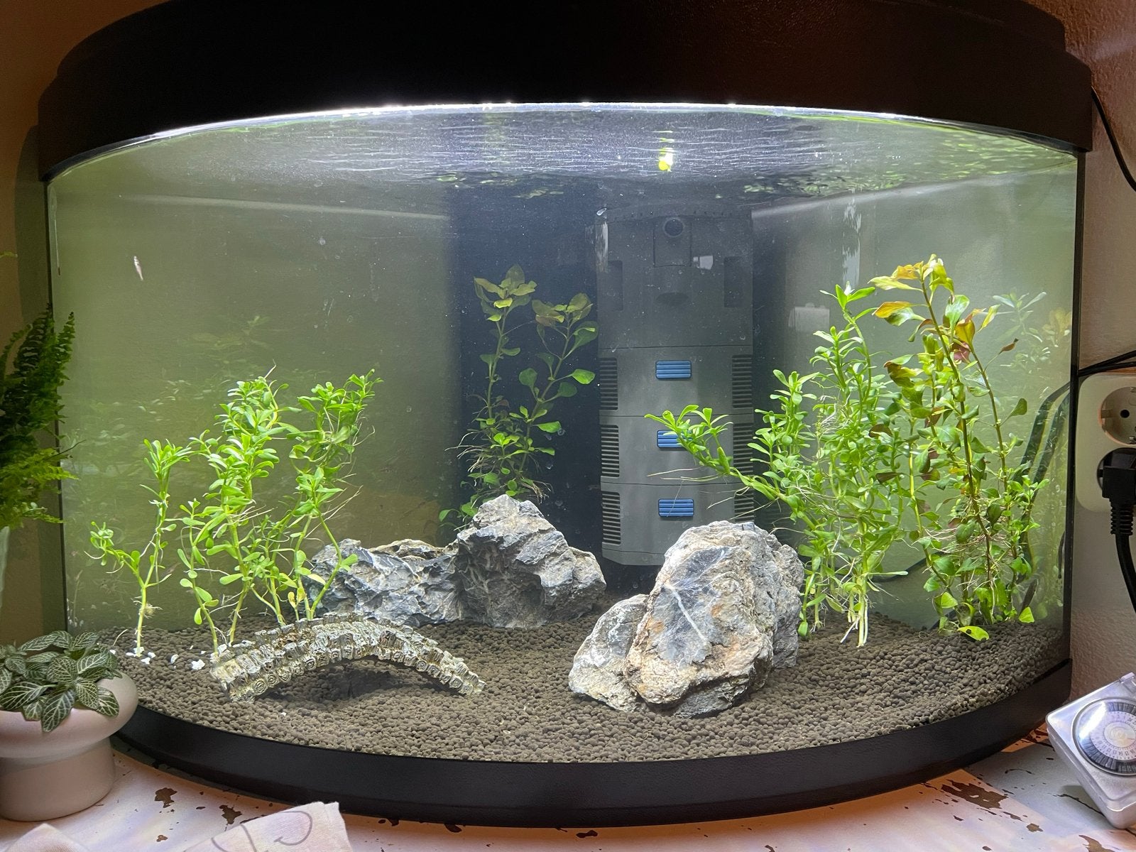 Hoek aquarium 90 liter, Ophalen, Verwarming, Zo goed als nieuw, Leeg aquarium