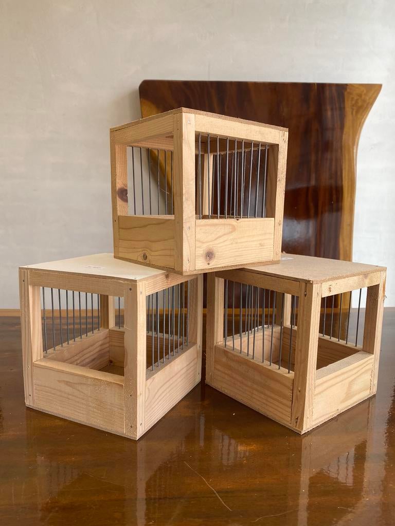 Tralienestkast L, Dieren en Toebehoren, Ophalen of Verzenden, Nieuw, Hout, Broedkooi of Kweekkooi