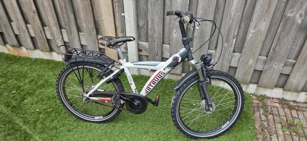 Batavus Snake 22 inch, Fietsen en Brommers, Ophalen, 22 inch, Gebruikt, Versnellingen