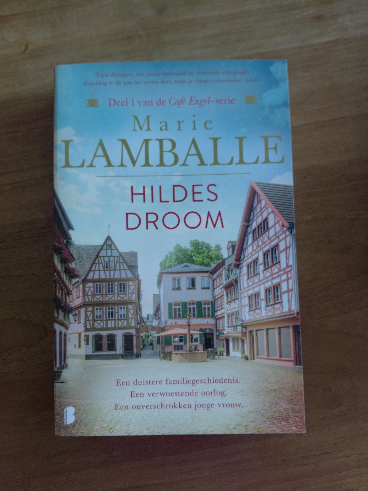 Marie Lamballe - Hildes serie (5 boeken), Ophalen of Verzenden, Zo goed als nieuw, Marie Lamballe, Europa overig