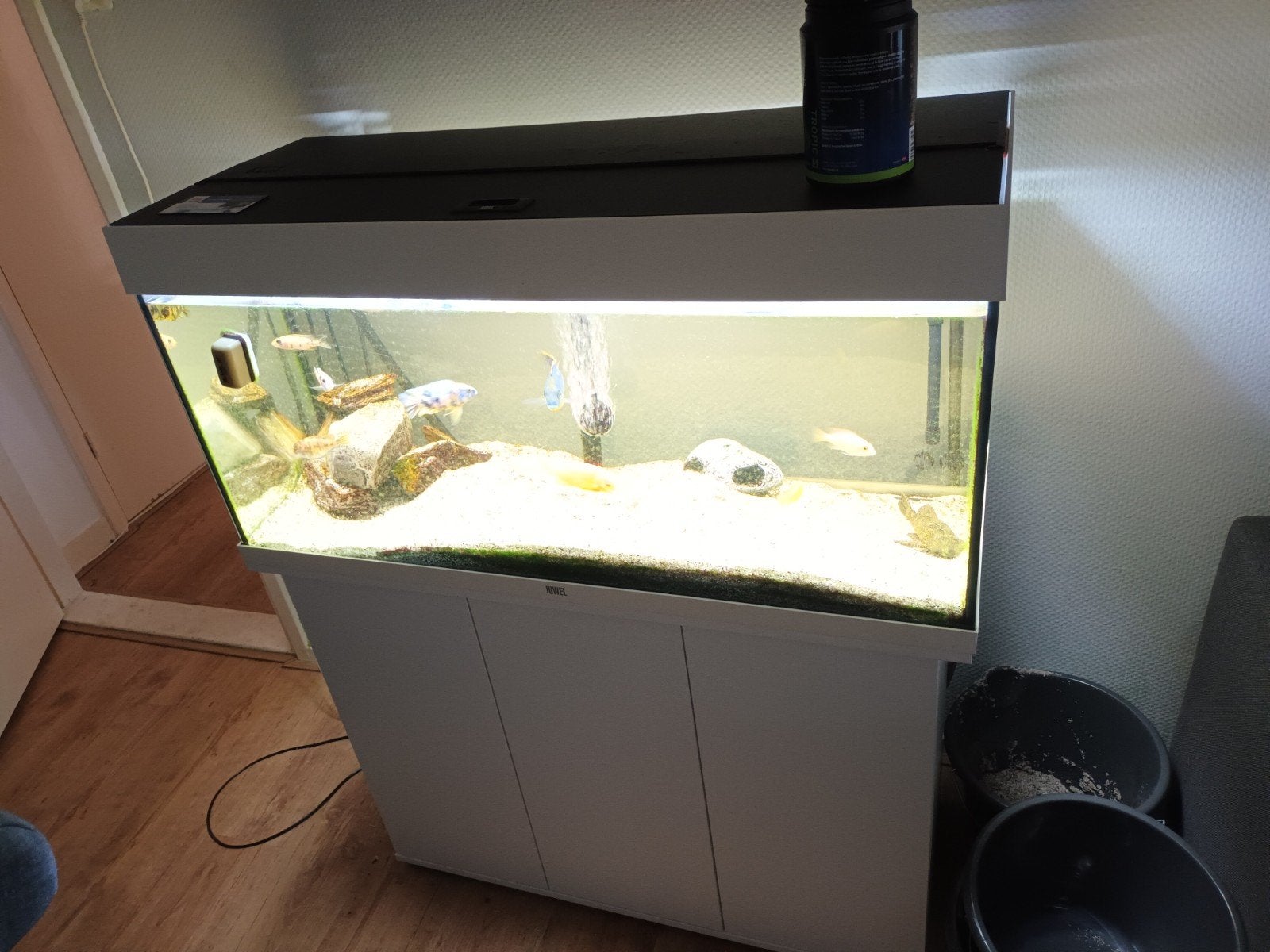 Aquarium met vissen, Ophalen, Zo goed als nieuw, Leeg aquarium