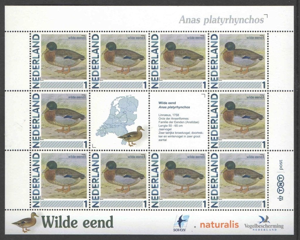 Postzegels vogels in Nederland: Wilde eend, Postzegels en Munten, Ophalen of Verzenden, Na 1940, Postfris