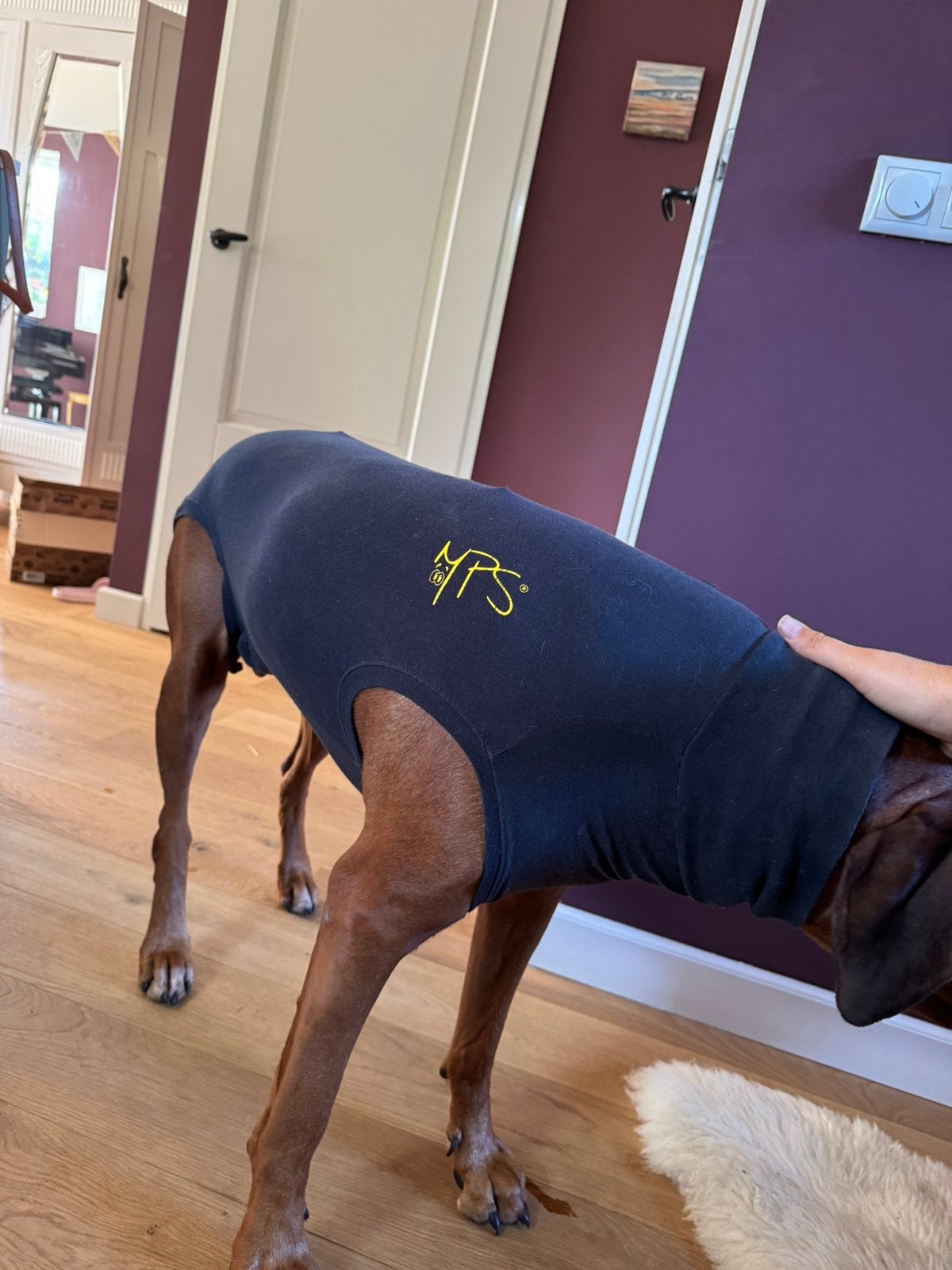 Romper voor hond na operatie, Ophalen of Verzenden, Gebruikt
