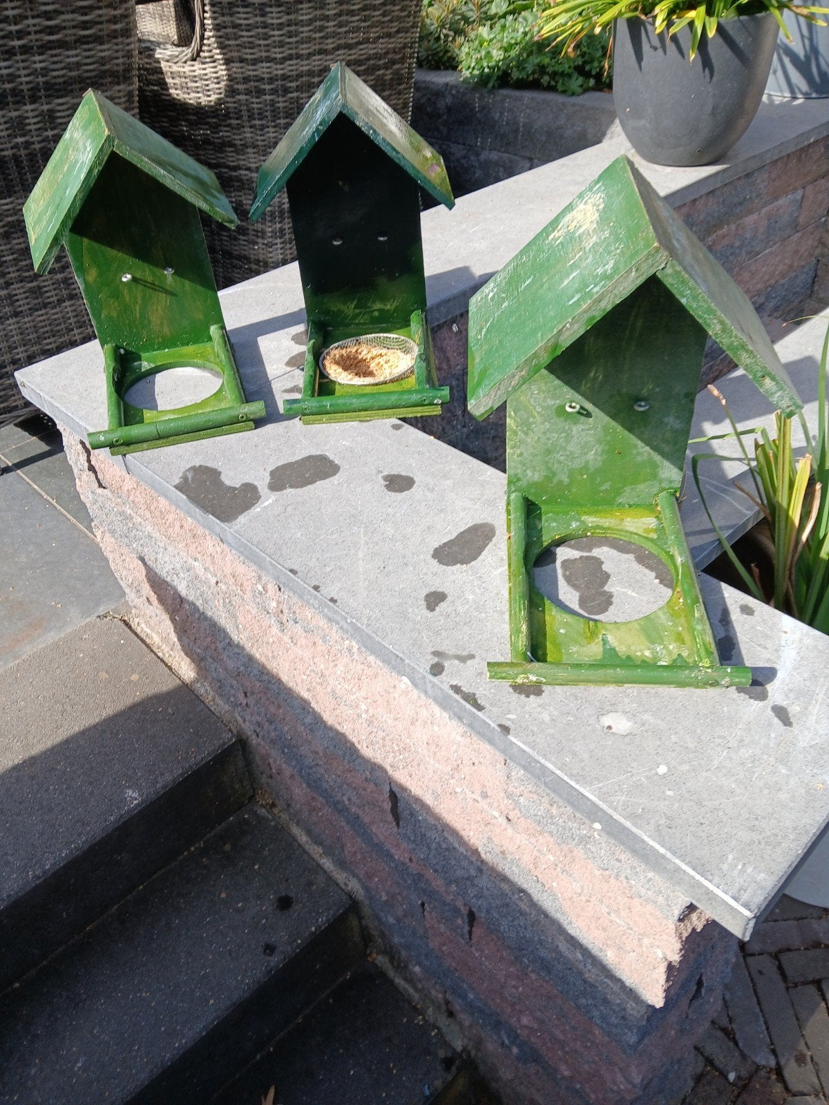 nest kapelletjes, Dieren en Toebehoren, Ophalen, Gebruikt, Kooi-accessoires