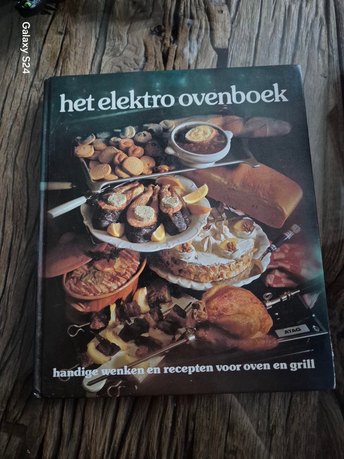 Het Elektro Ovenboek - Handige wenken en recepten, Boeken, Gelezen, Voorgerechten en Soepen, Ophalen of Verzenden, Onbekend (uitgegeven door ATAG)