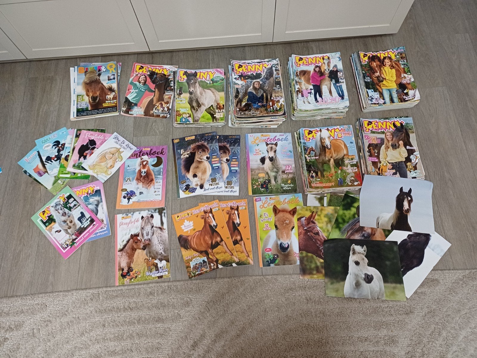 Meer dan 100 paarden penny's, Ophalen, Gelezen