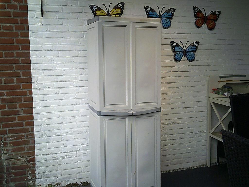 te koop kunsstof opbergkast, Tuin en Terras, Ophalen, Zo goed als nieuw, Kunststof, Overige typen