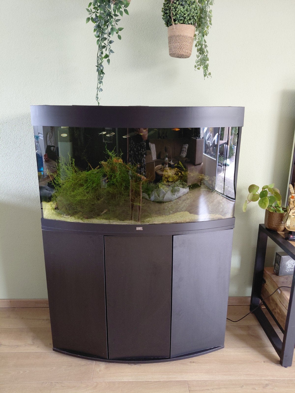 Jewel 180 liter aquarium curved met Helialux  lamp, Ophalen, Zo goed als nieuw, Gevuld zoetwateraquarium