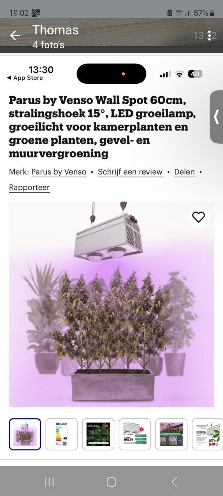 Warmtelamp, Ophalen, Volle zon