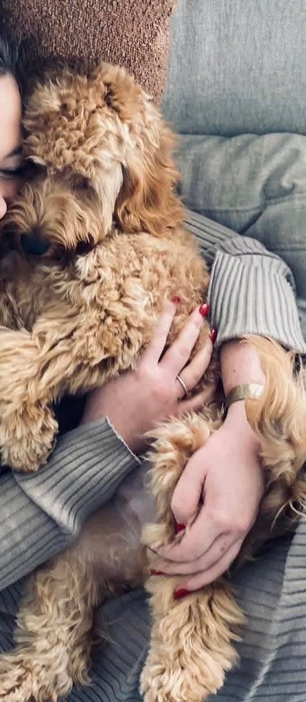 MINI Labradoodle CUDDLEWELLRANCH ❤️mogen nu verhuizen❤️, Parvo, Overige rassen, 8 tot 15 weken, Meerdere