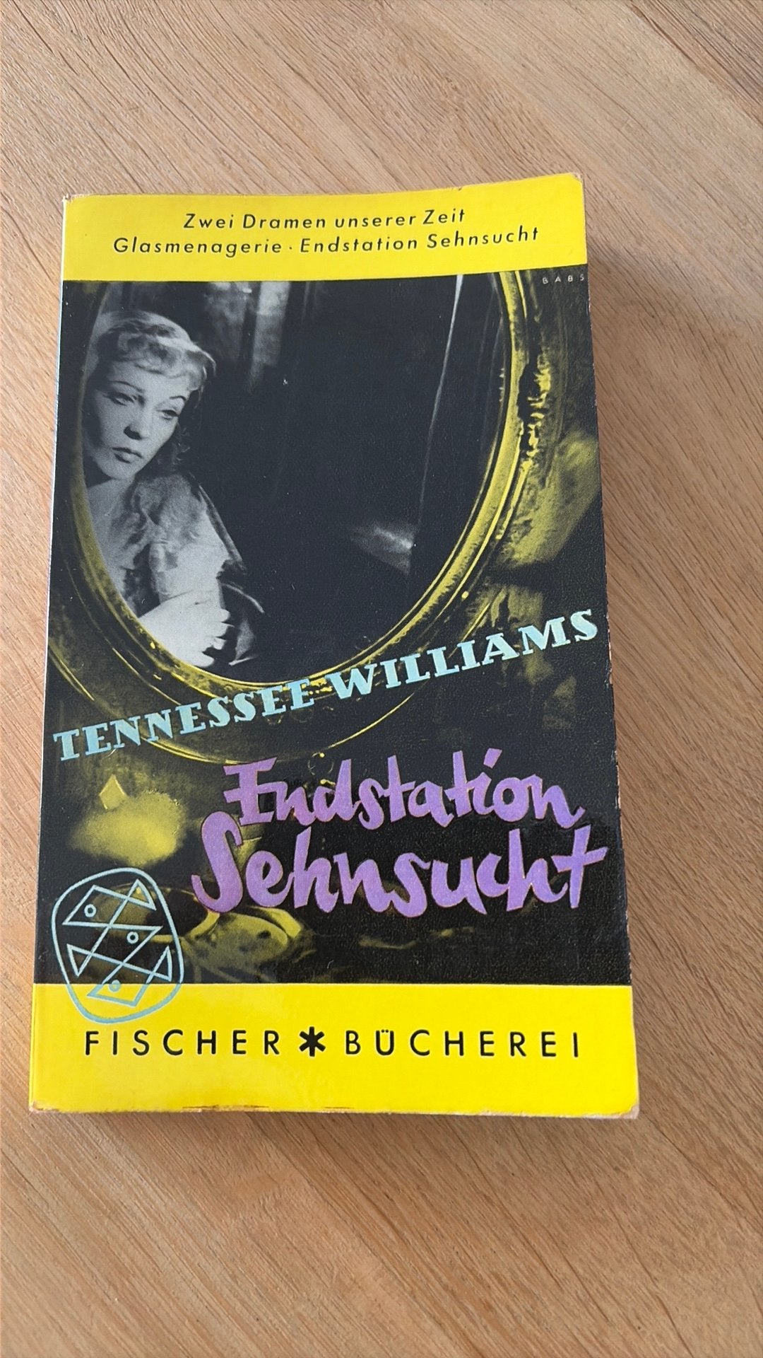 Endstation Sehnsucht - Tennessee Williams, Ophalen of Verzenden, Gelezen, Amerika