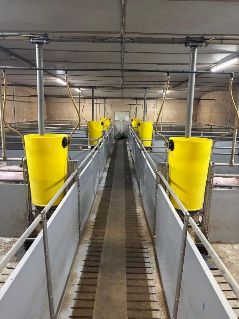 Hokinrichting vleesvarkens
